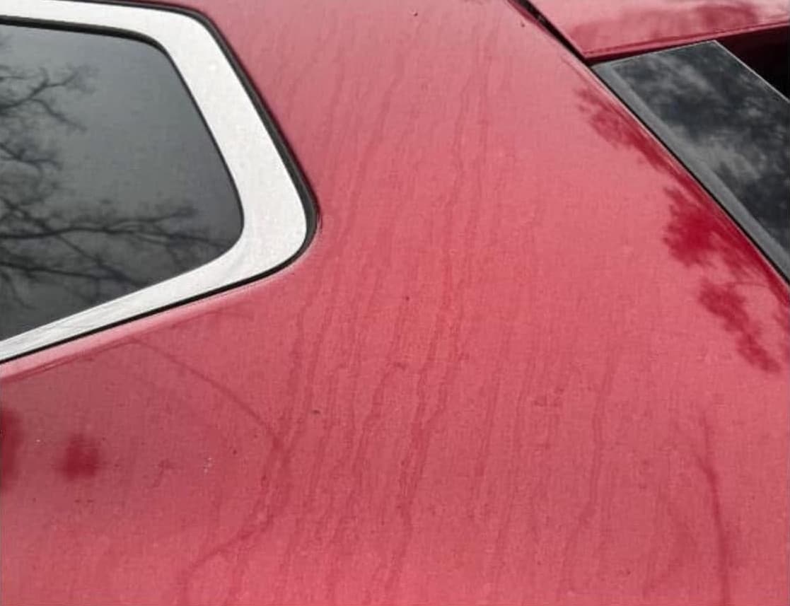 Before Car Paint Correction